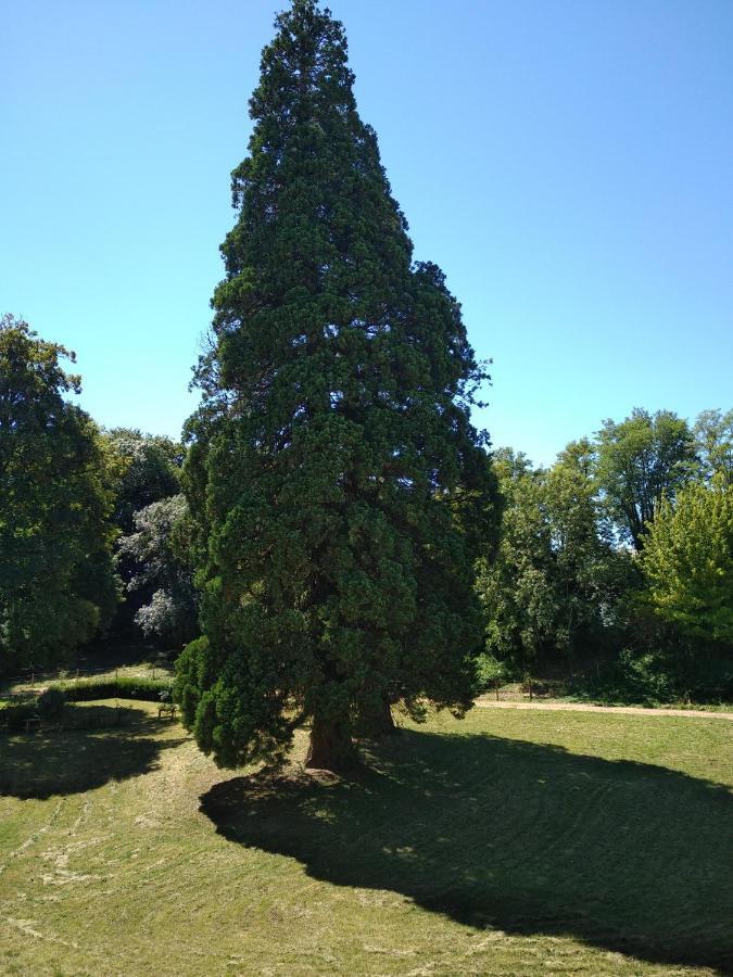 Chateau De St Alyre Hotell Sanssat Eksteriør bilde